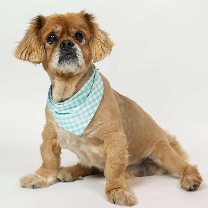 Pet Gingham Bandana - Sumiye Co