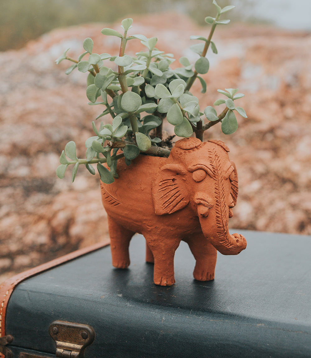 Rakshana Elephant Plant Pot - Terracotta by Matr Boomie - Sumiye Co