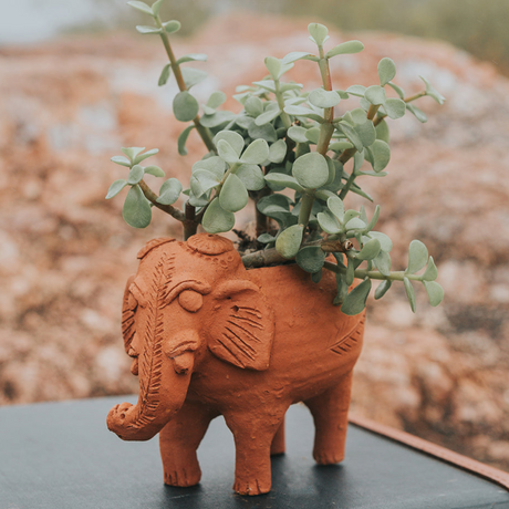 Terracotta elephant planter with a plant on a blurred background
