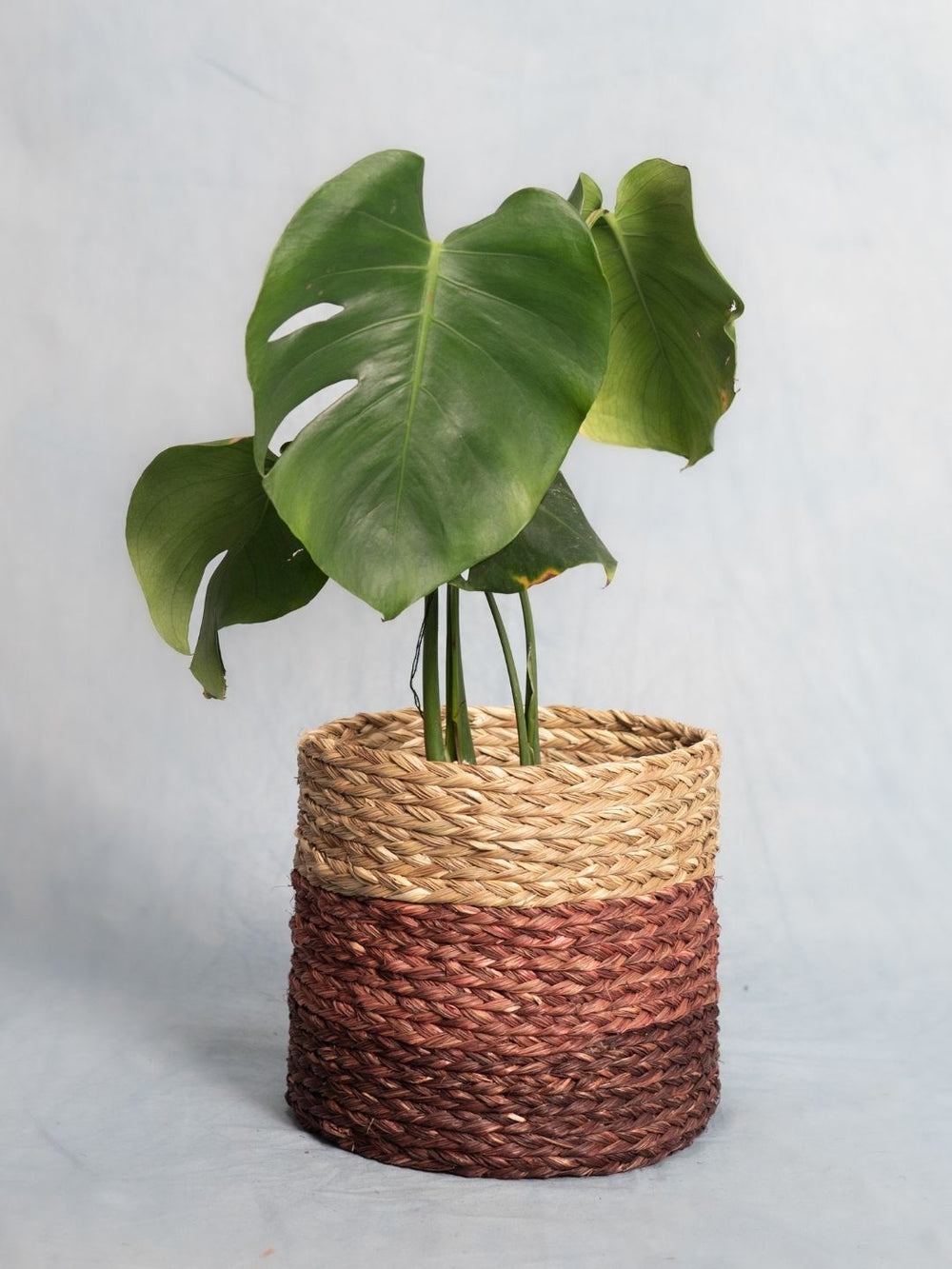 Sabai Plant Holder / Basket - Brown - Sumiye Co