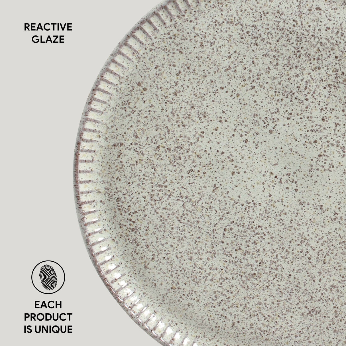 Dinner Plate Set of 6