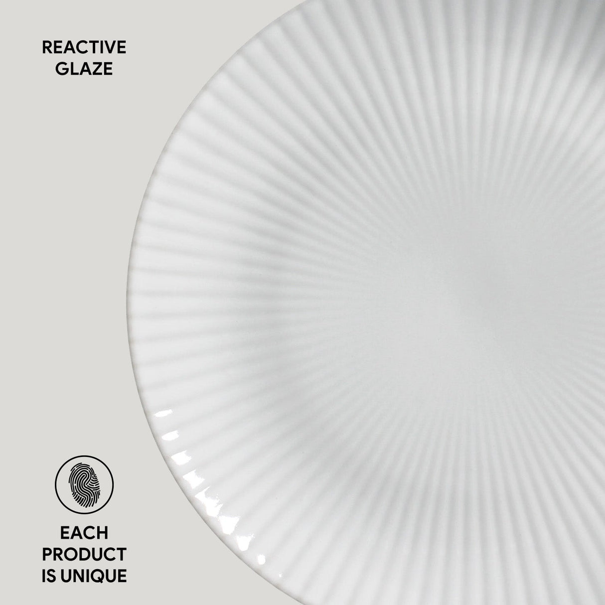 Dinner Plate Set of 6