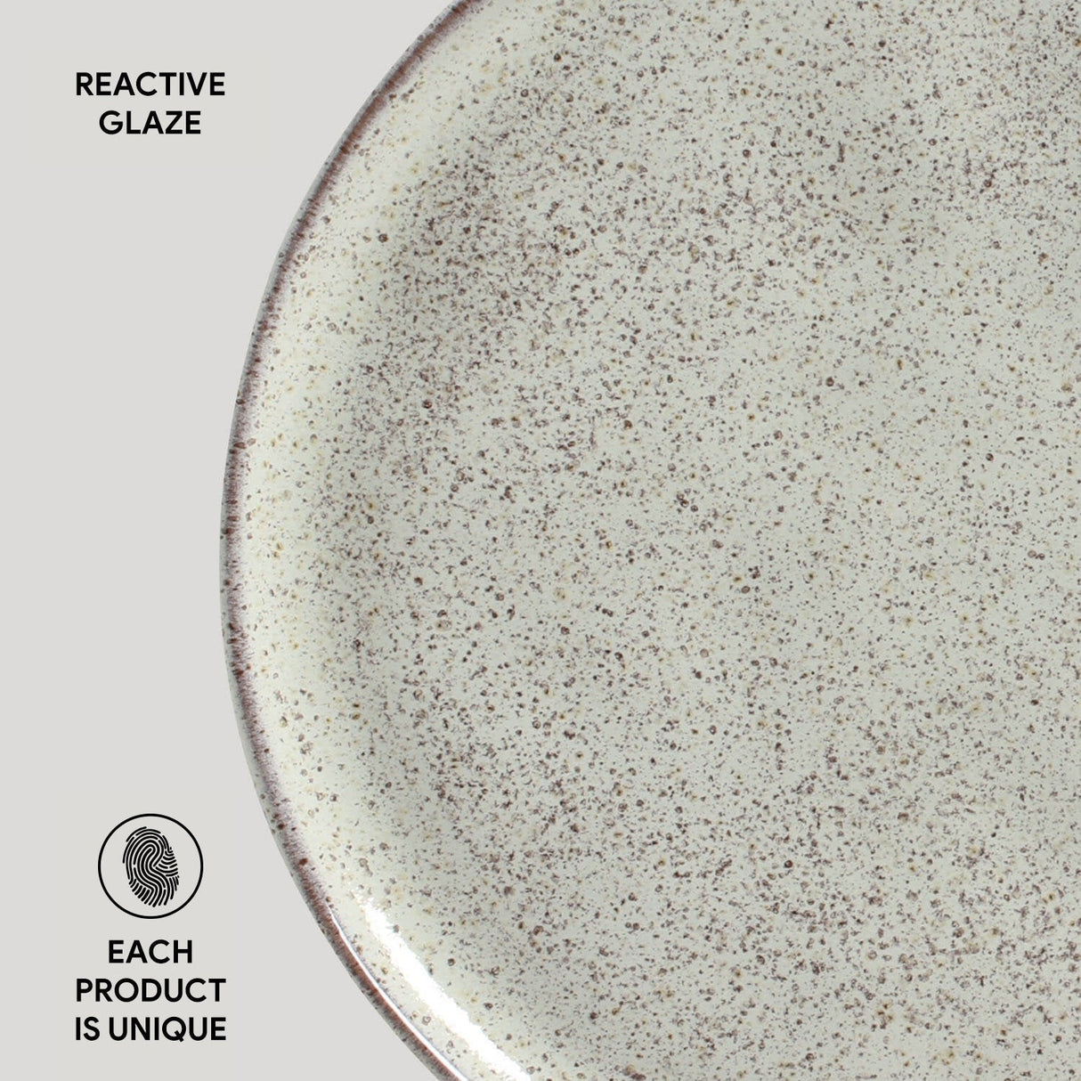 Dinner Plate Set of 6