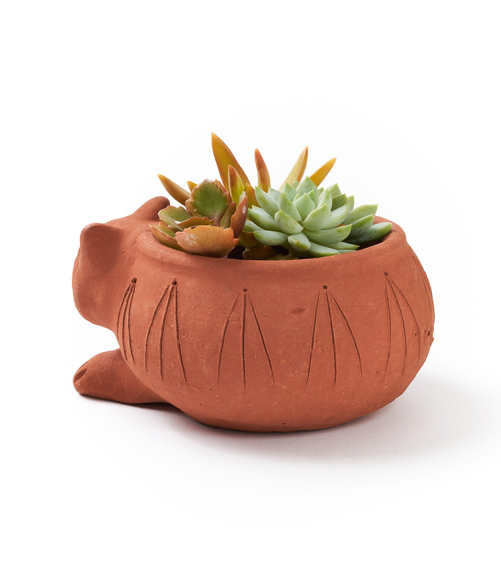 Rakshana Cat Plant Pot - Terracotta by Matr Boomie - Sumiye Co
