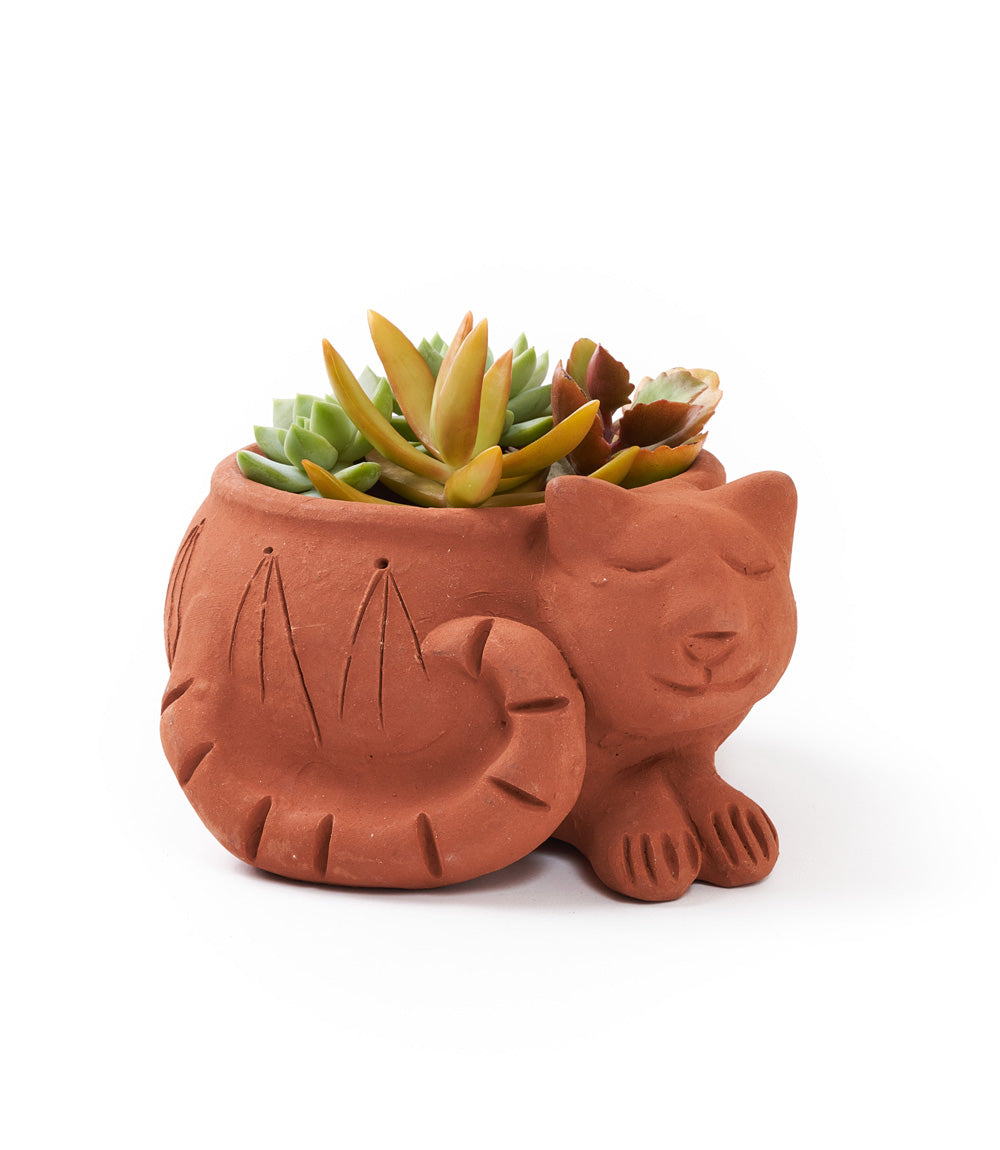 Rakshana Cat Plant Pot - Terracotta by Matr Boomie - Sumiye Co