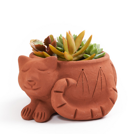 Terracotta cat-shaped planter with succulents on a white background