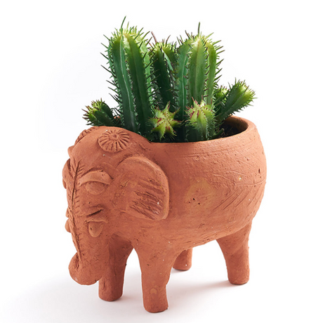 Terracotta elephant-shaped planter with cactus on a white background