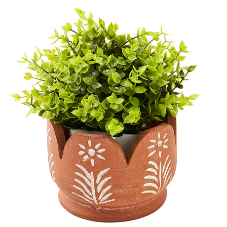 Terra cotta planter with decorative patterns containing a green plant on a white background
