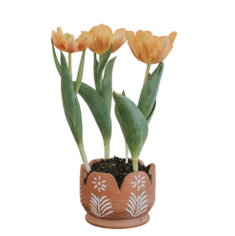 Terracotta Small Petals Planter with Drainage - Sumiye Co