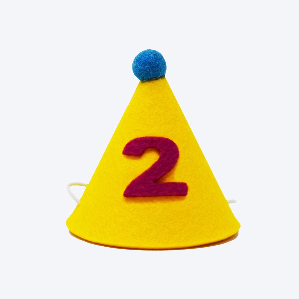 Pawty Hat - Purple Number - Sumiye Co