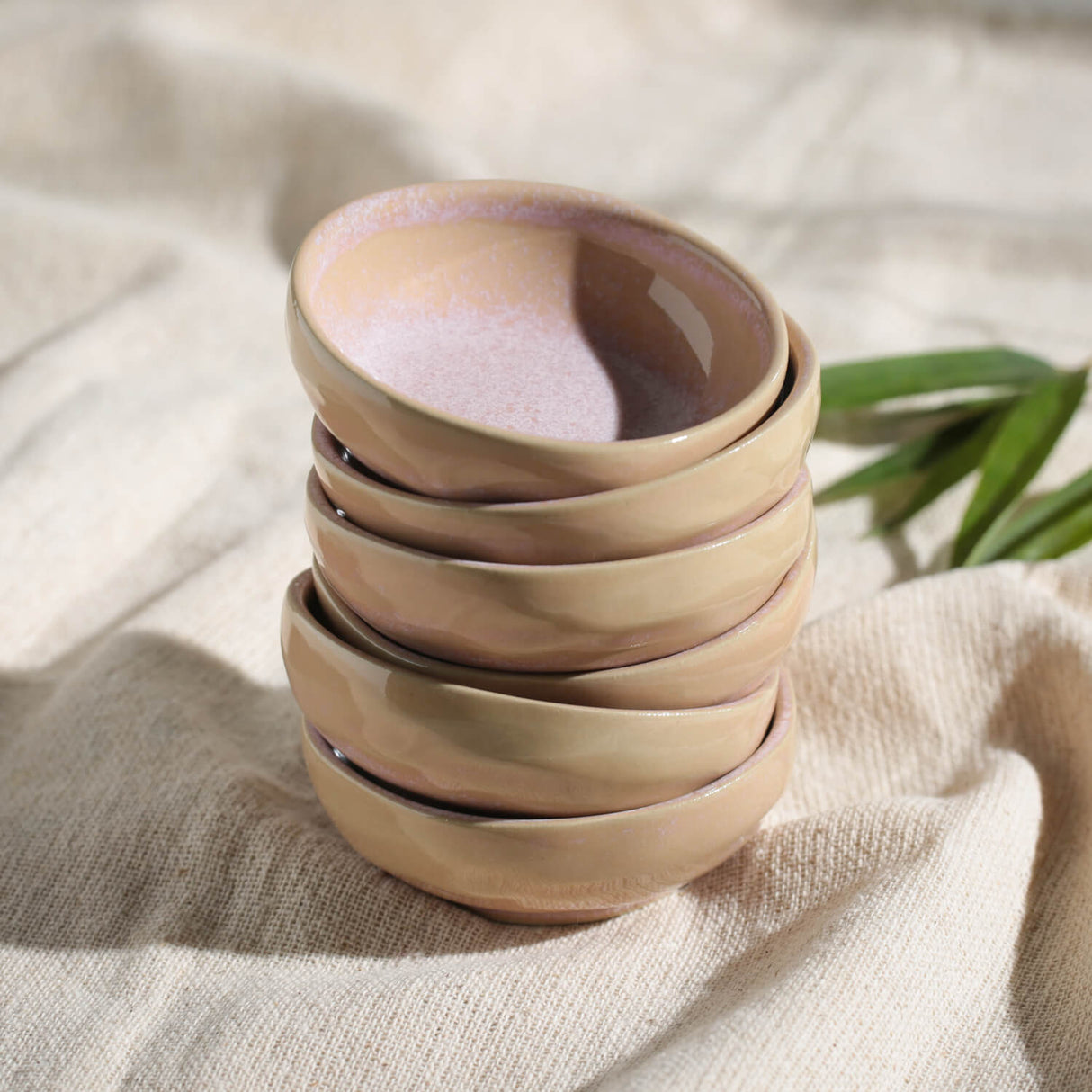 Organic Ramekin Set of 6