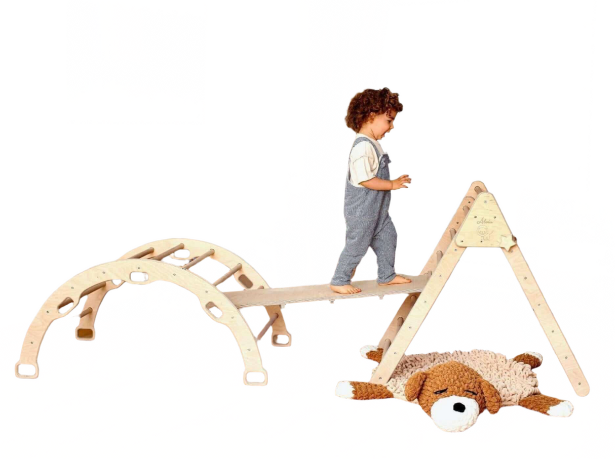 Montessori Climbing Set (3 Pieces)| Pikler Triangle, Climbing Arch & Ramp - Sumiye Co