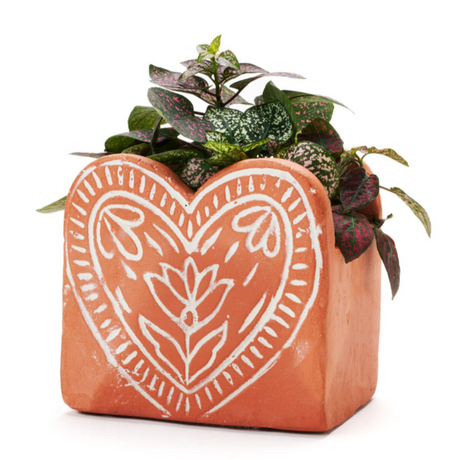 Terracotta planter with heart design and plant on a white background