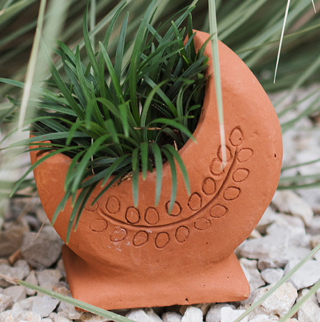 Terracotta planter with a plant on a pebble surface