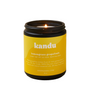 Lemongrass Grapefruit 8oz Candle - Sumiye Co