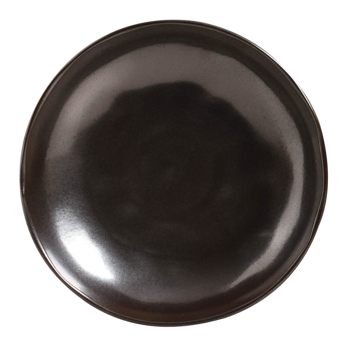 Pasta Plate Set of 6