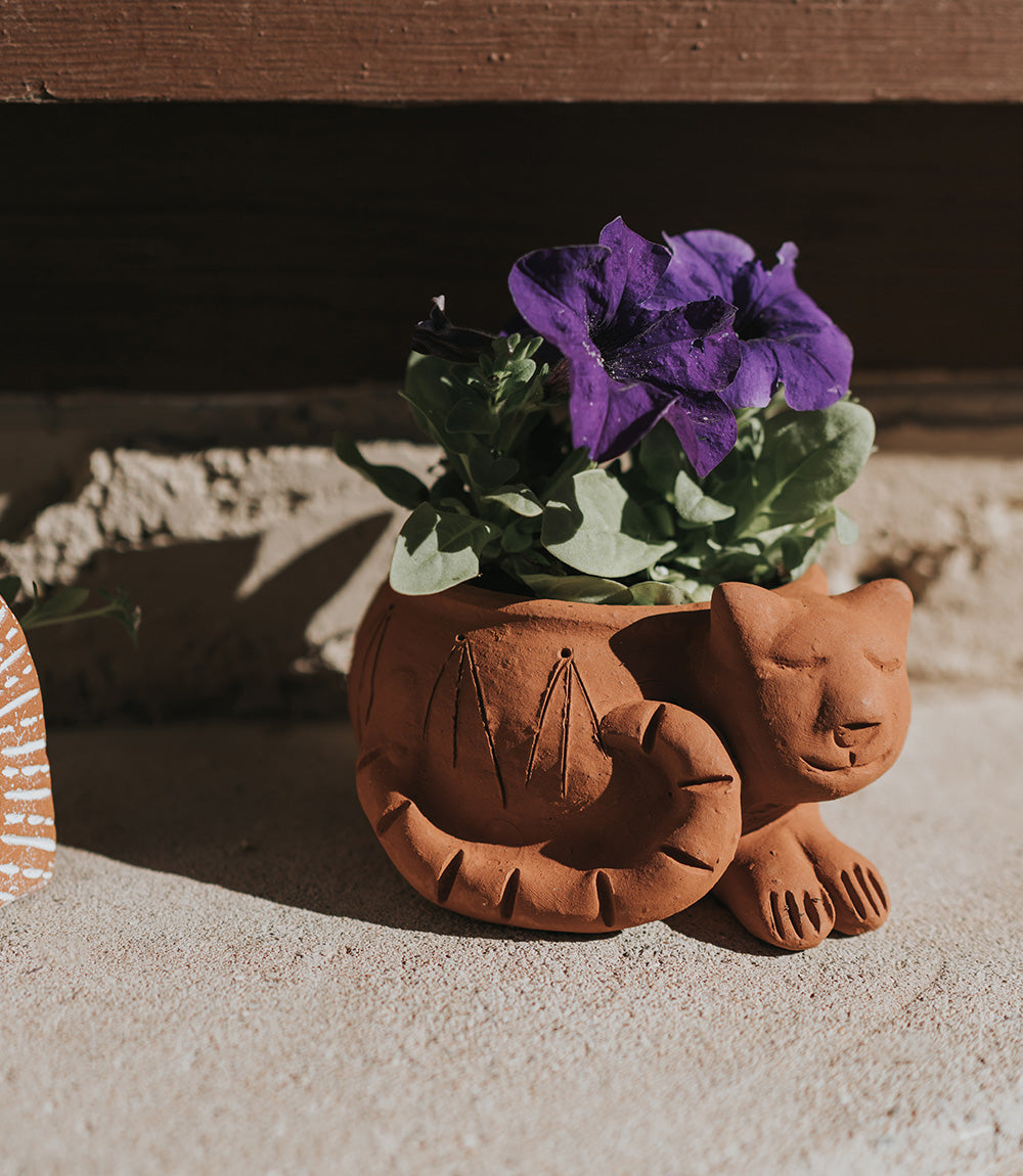 Rakshana Cat Plant Pot - Terracotta by Matr Boomie - Sumiye Co
