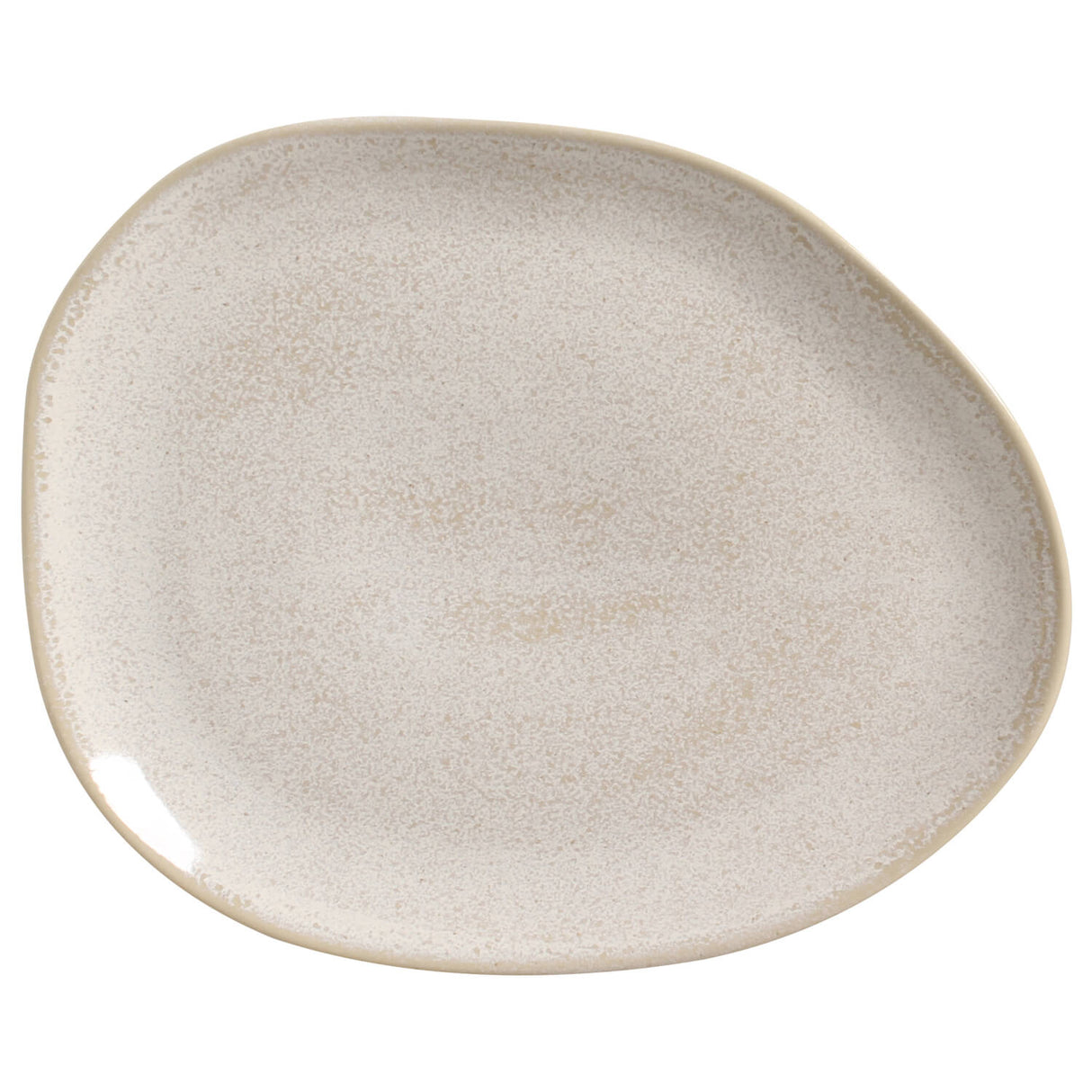 Oval Dinner Plate Set of 6