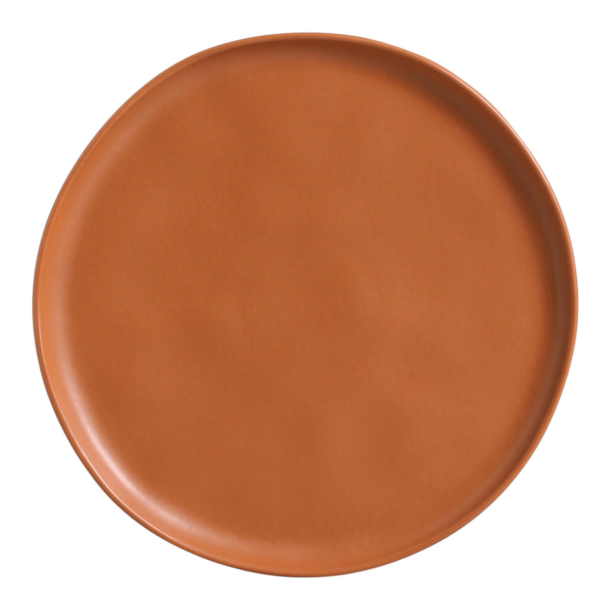 Dinner Plate Set of 6