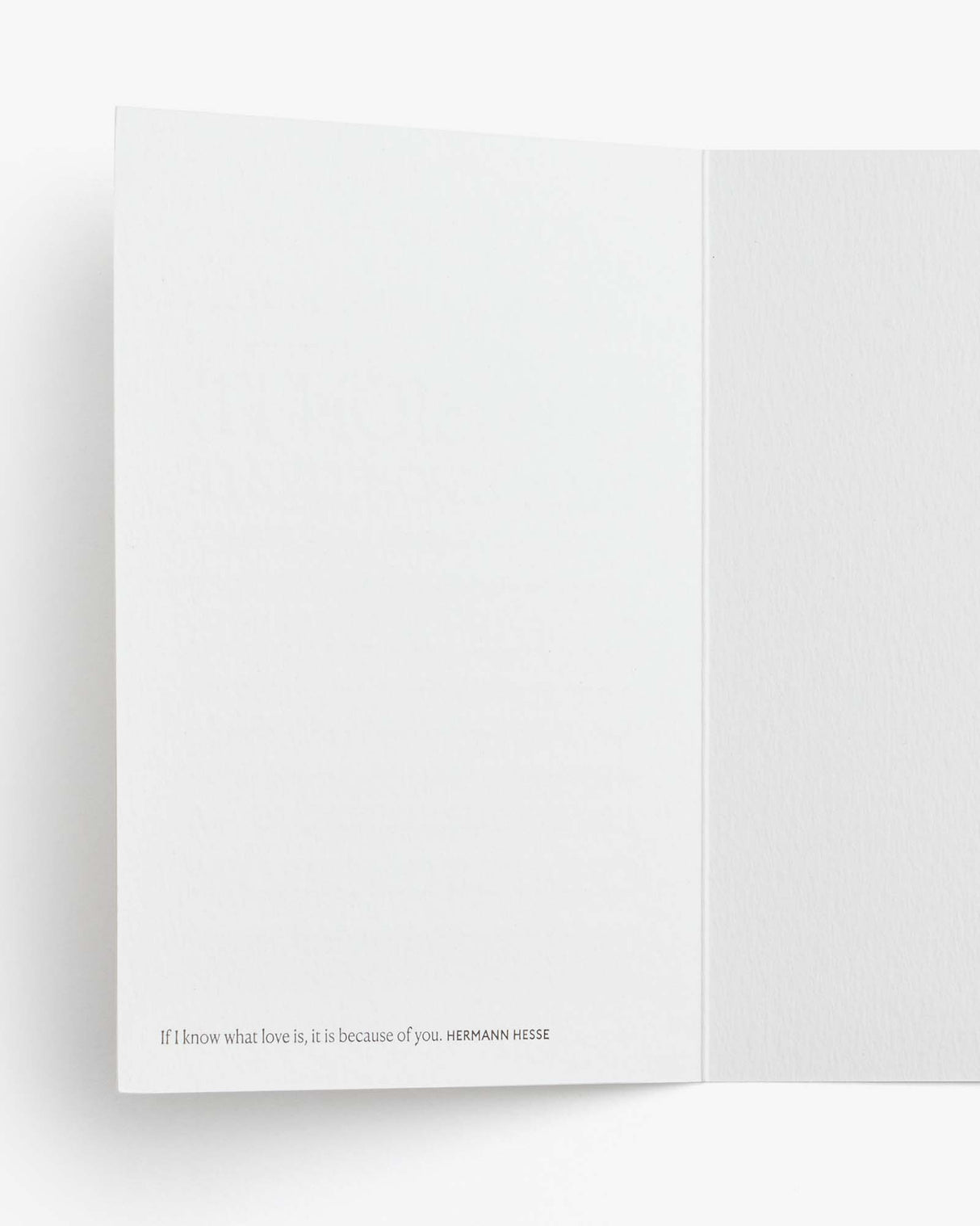 Love Occasion Cards - Love - Sumiye Co