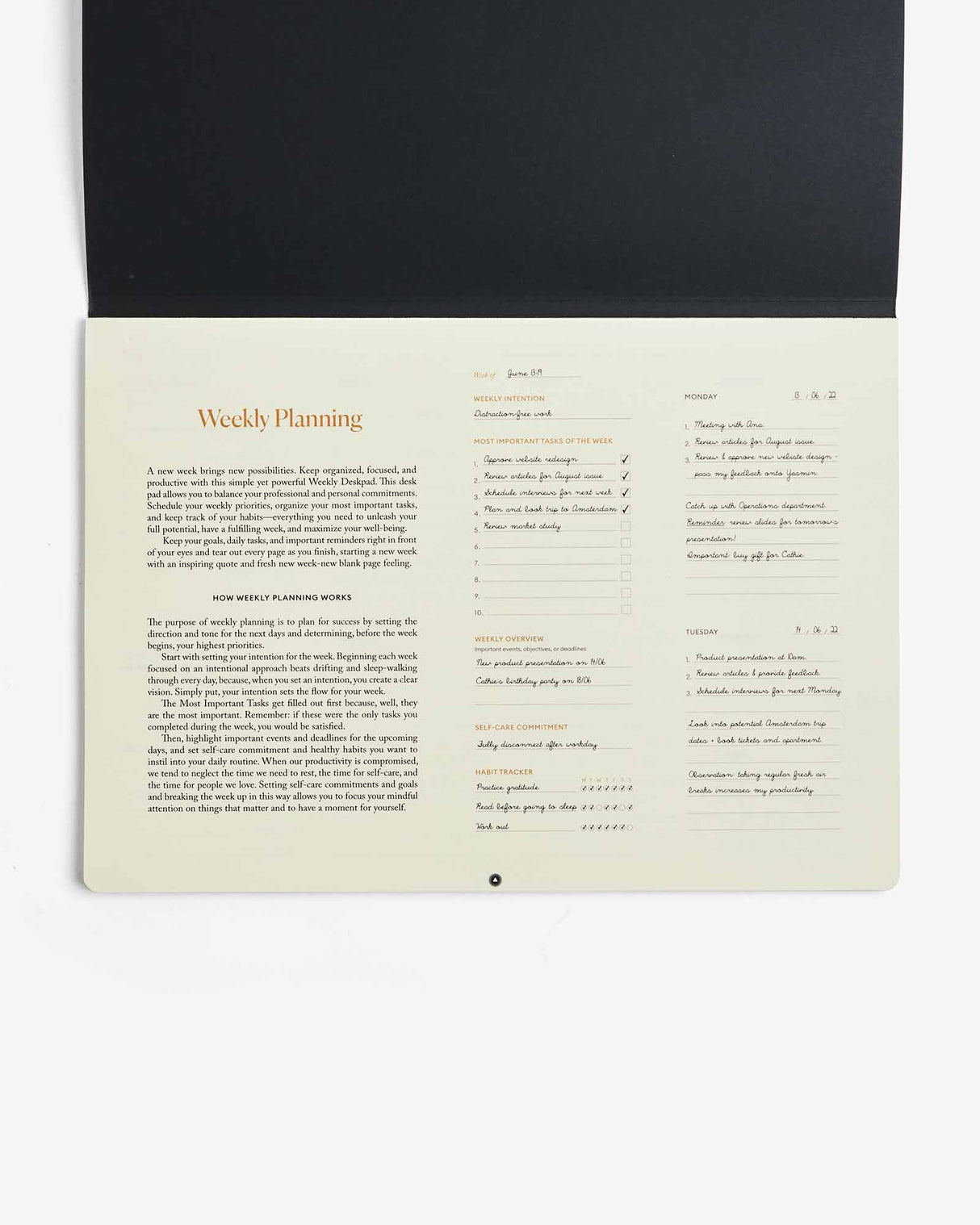 Productivity Weekly Desk Pad by Intelligent Change