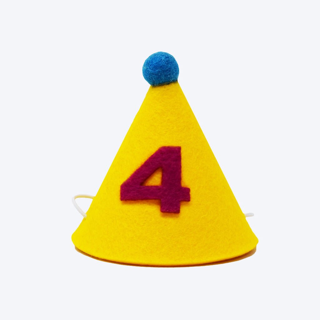 Pawty Hat - Purple Number - Sumiye Co