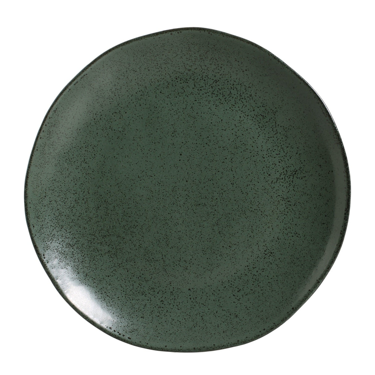 Dinner Plate Set of 6