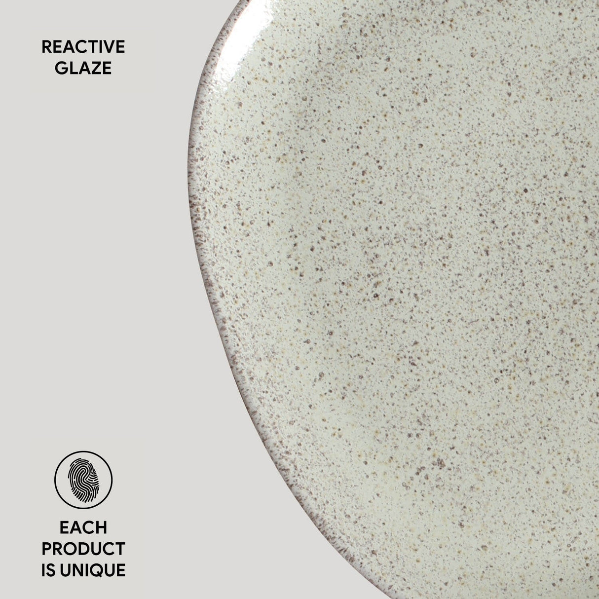 Oval Dinner Plate Set of 6