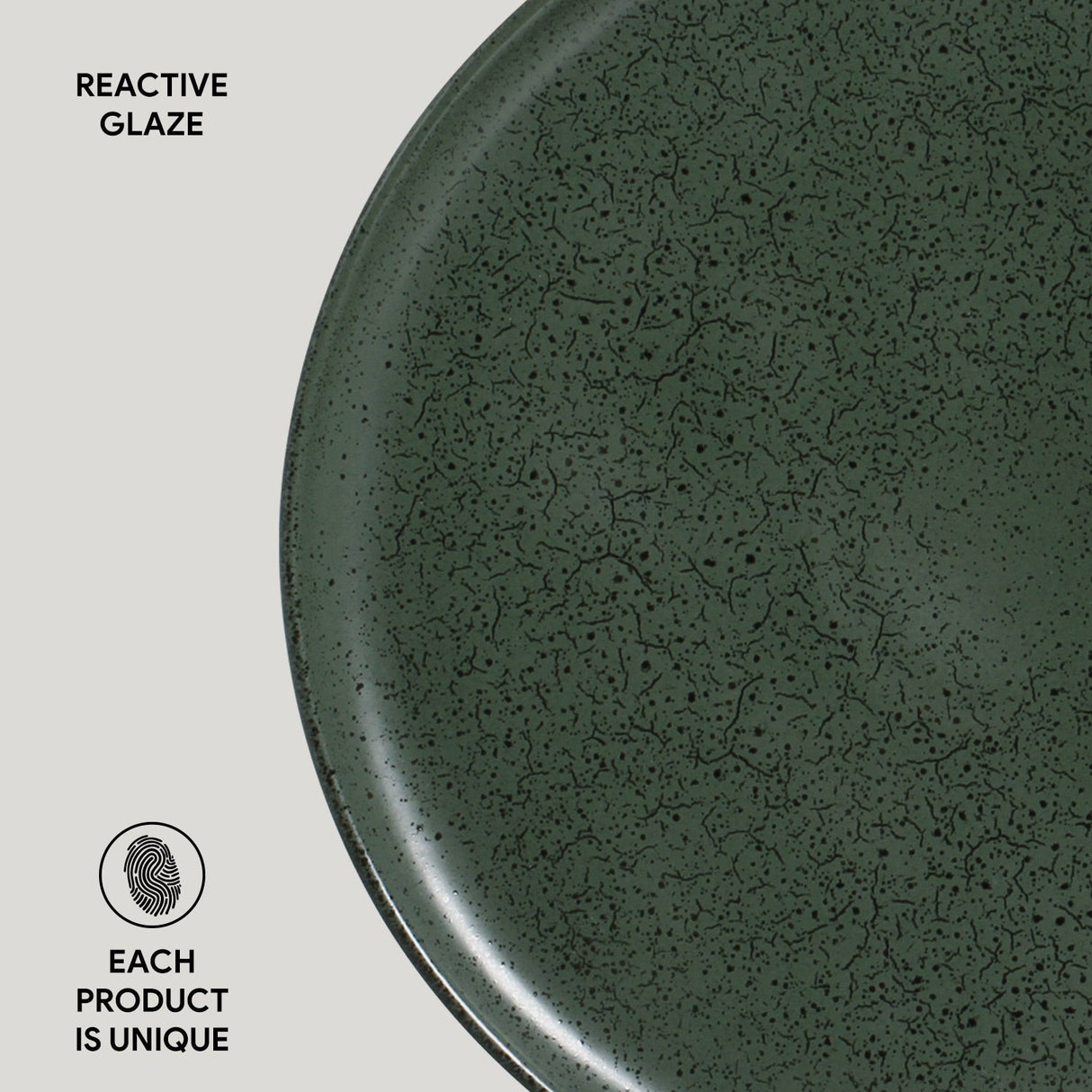 Buffet Dinner Plate Set of 6
