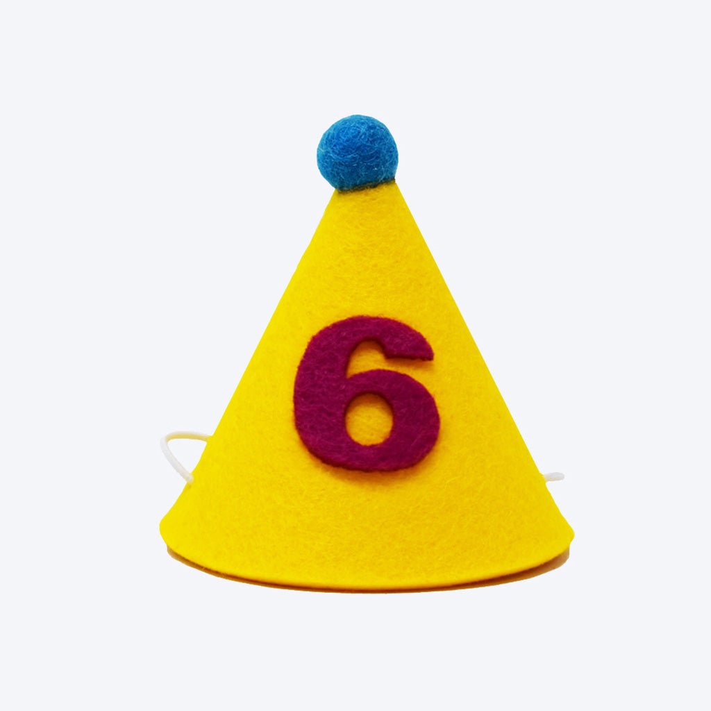 Pawty Hat - Purple Number - Sumiye Co