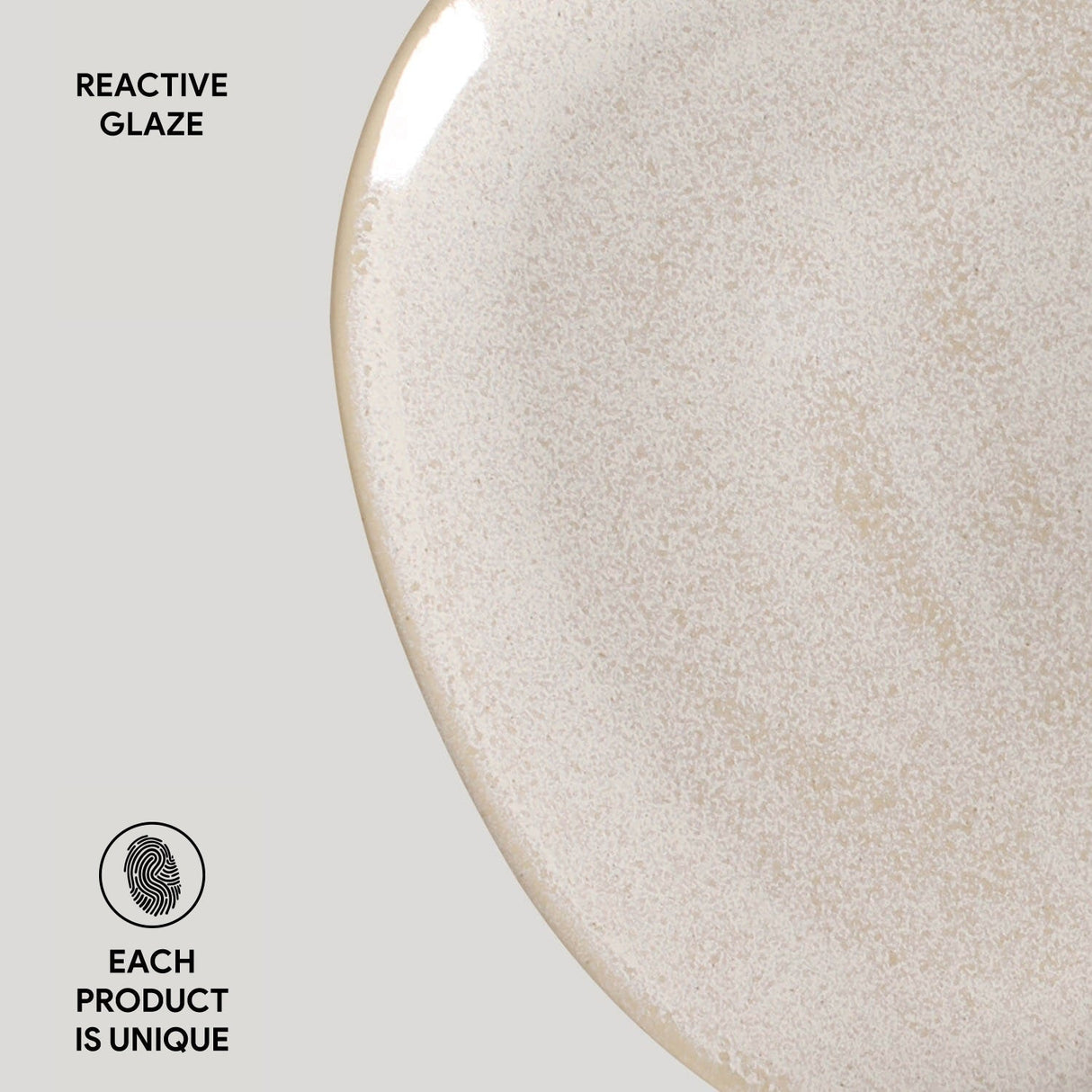 Oval Dinner Plate Set of 6