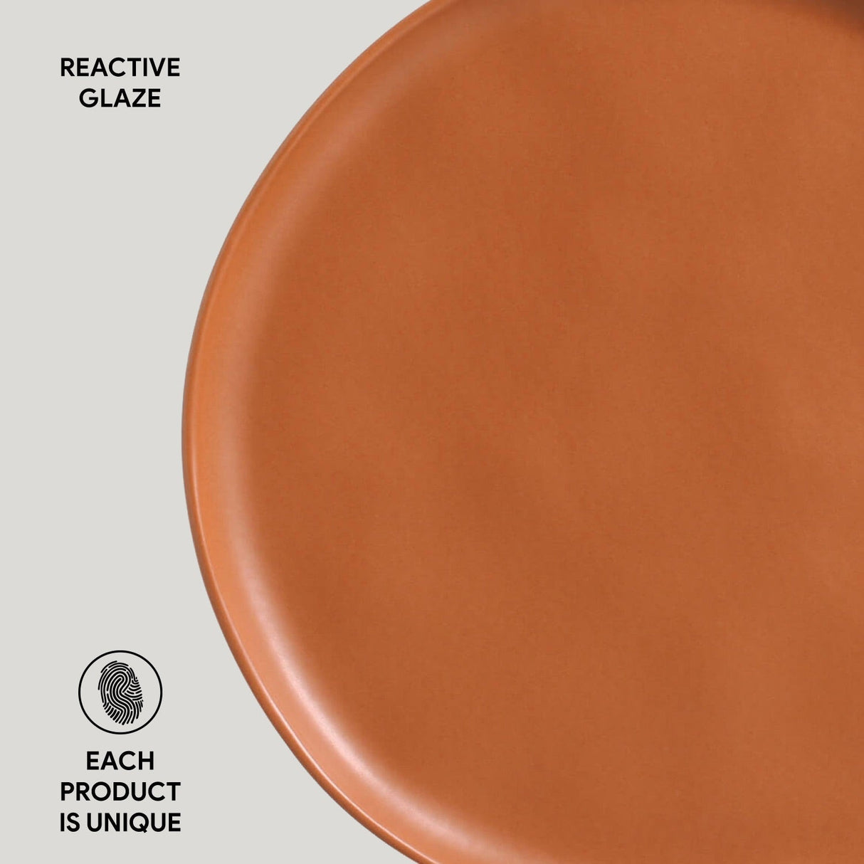 Dinner Plate Set of 6
