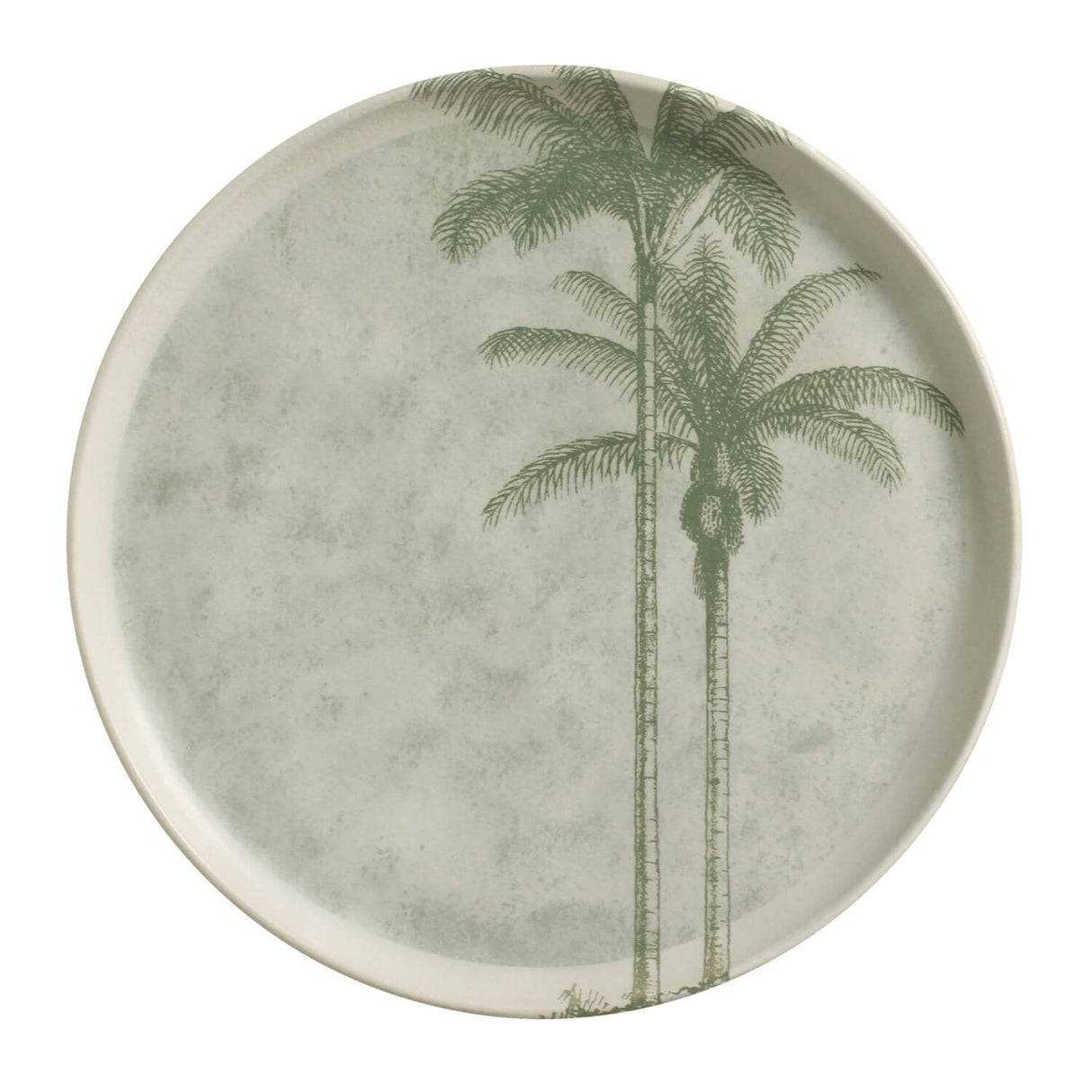 Dinner Plate Set of 6