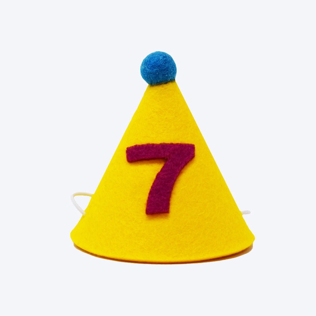 Pawty Hat - Purple Number - Sumiye Co