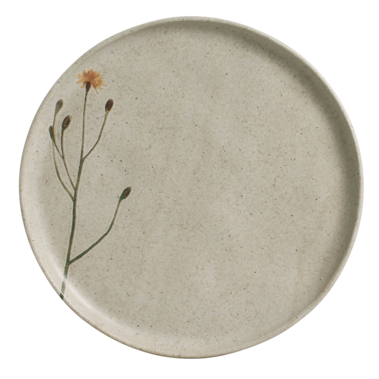 Dinner Plate Set of 6