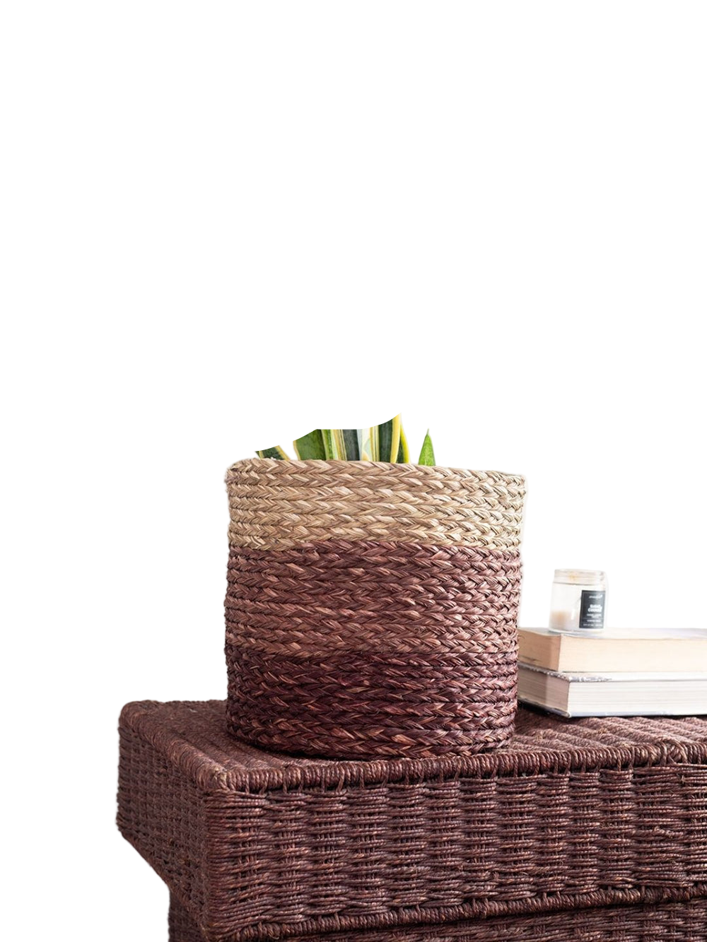 Sabai Plant Holder / Basket - Brown - Sumiye Co
