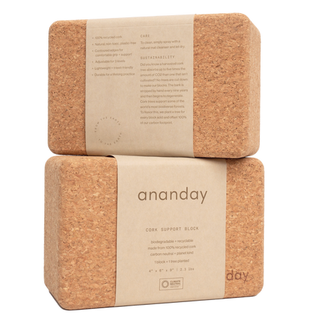 Cork Yoga Block Set - Sumiye Co