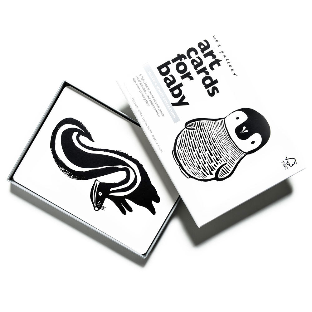 Art Cards for Baby - Black and White Collection - Sumiye Co
