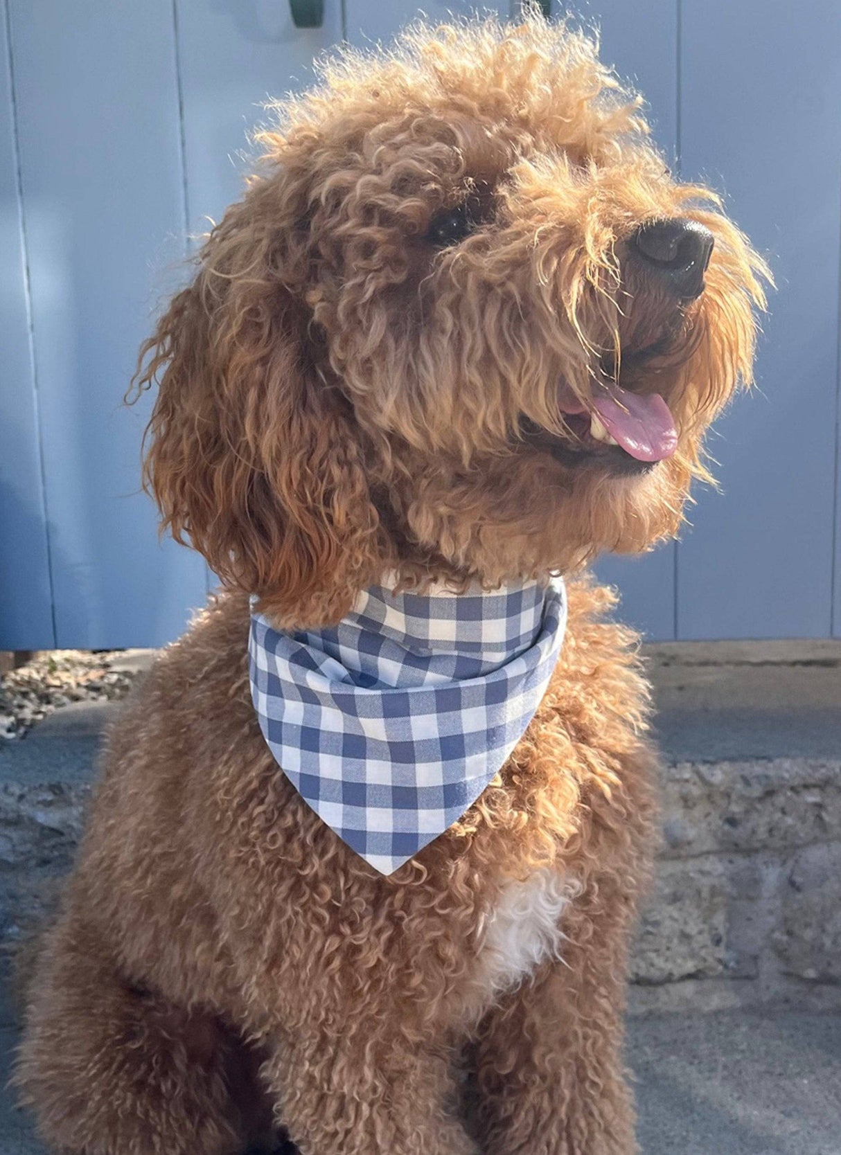 Pet Gingham Bandana - Sumiye Co