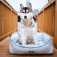 Bondi Eco-Fabric Bolster Dog Bed-5