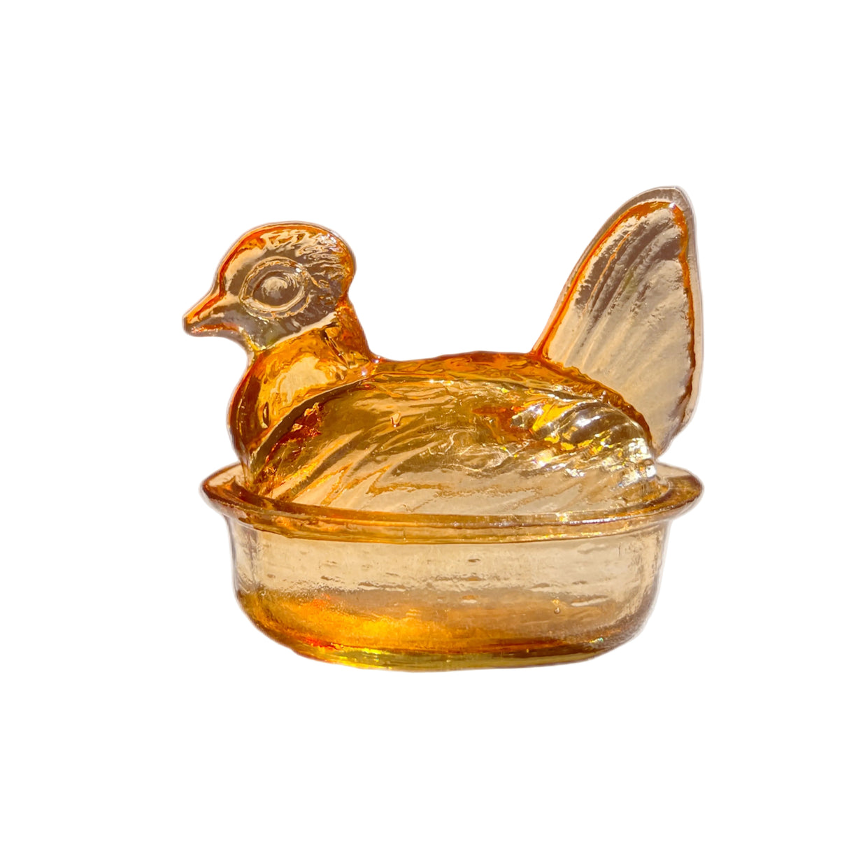 Nesting Hen Bowl & Lid - AMBER(Maple) | Hand Blown Glass - Colombia - Sumiye Co