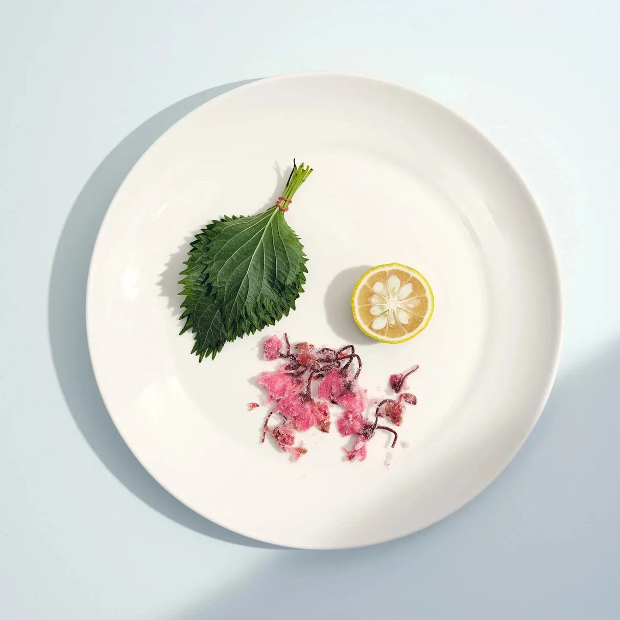 Large Plate (Set of 4) - Sumiye Co