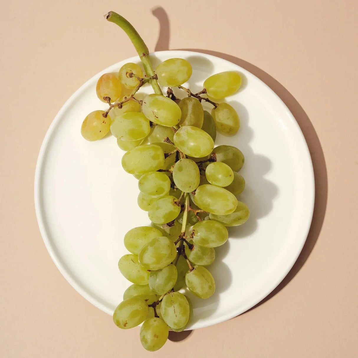 S/4 Small Plate - Sumiye Co