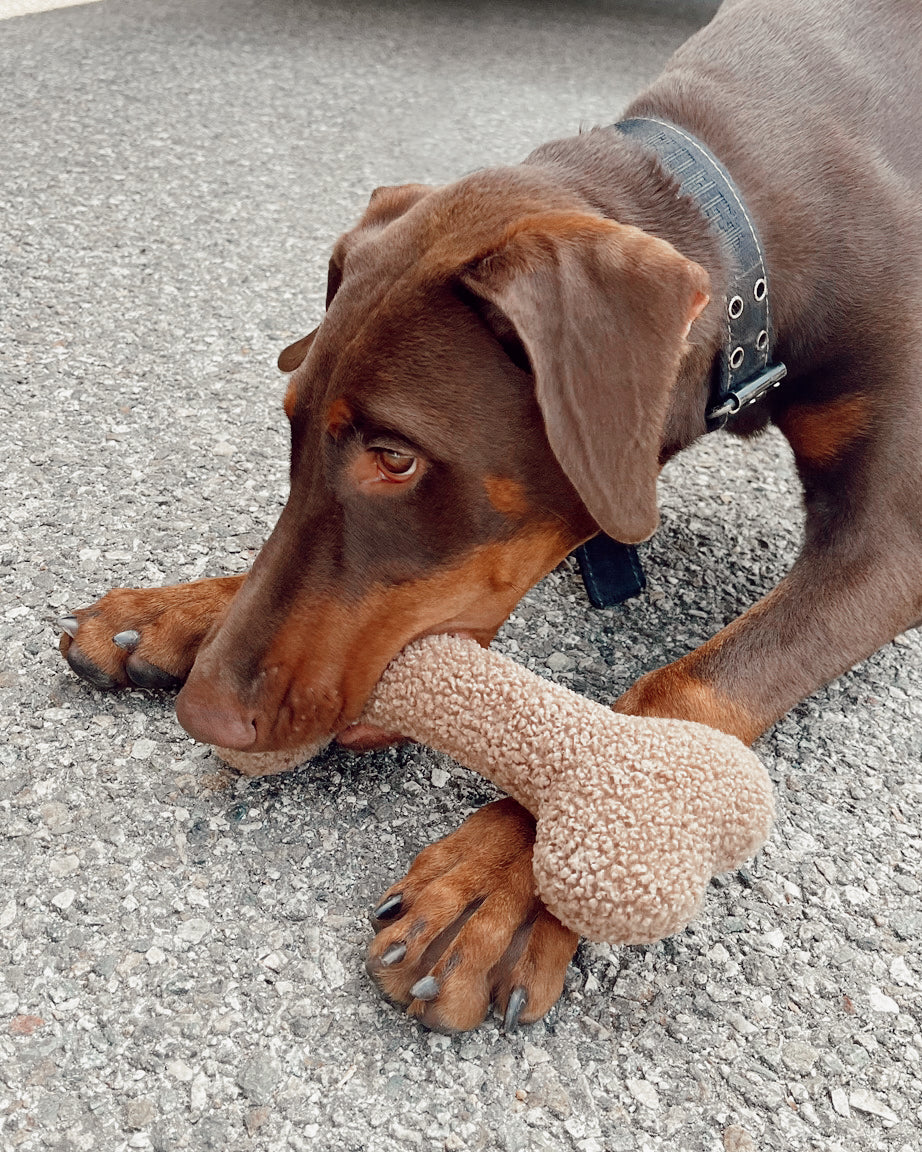 Pet Toy Funny Bone - Sumiye Co