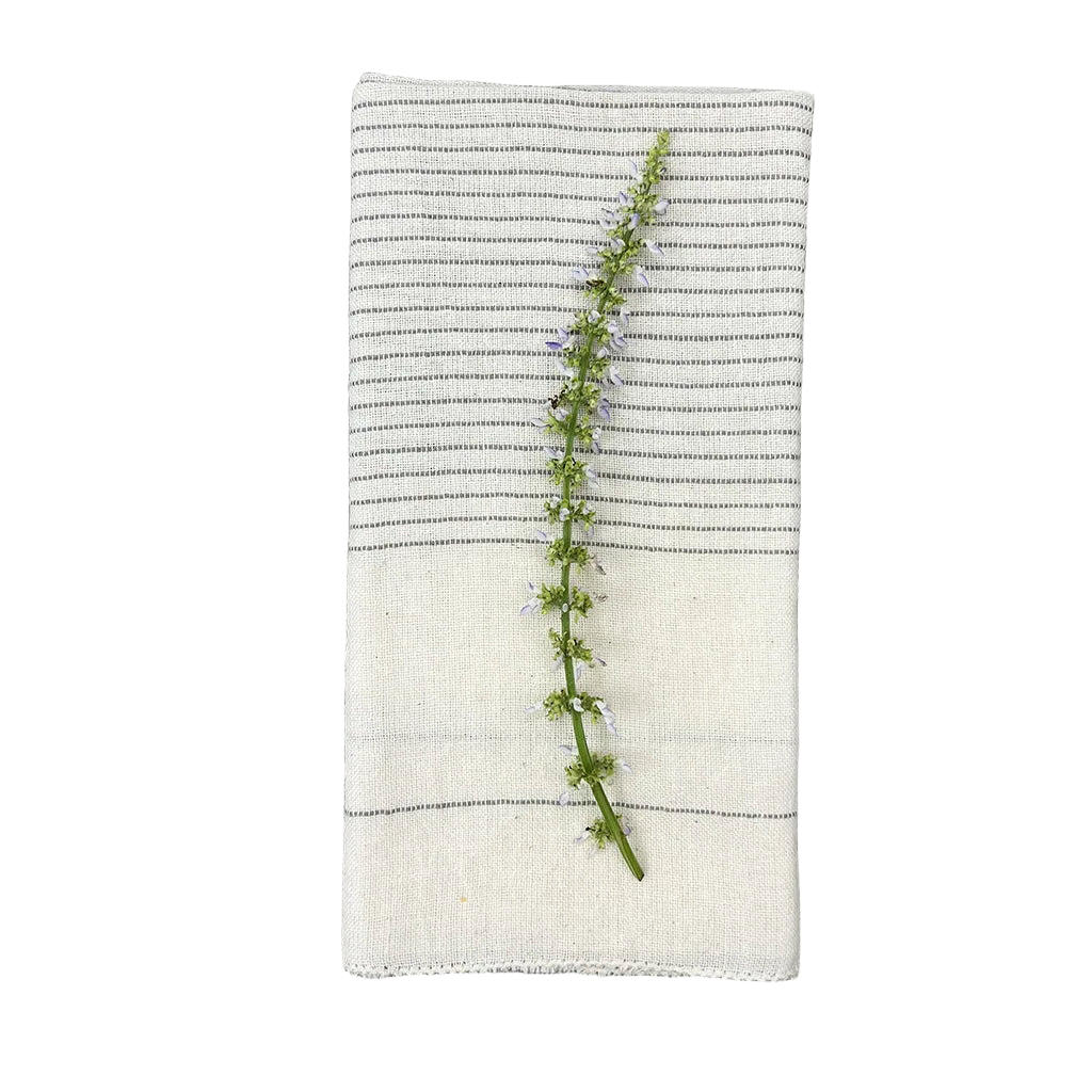 Striped cloth napkin with a green plant on a white background
