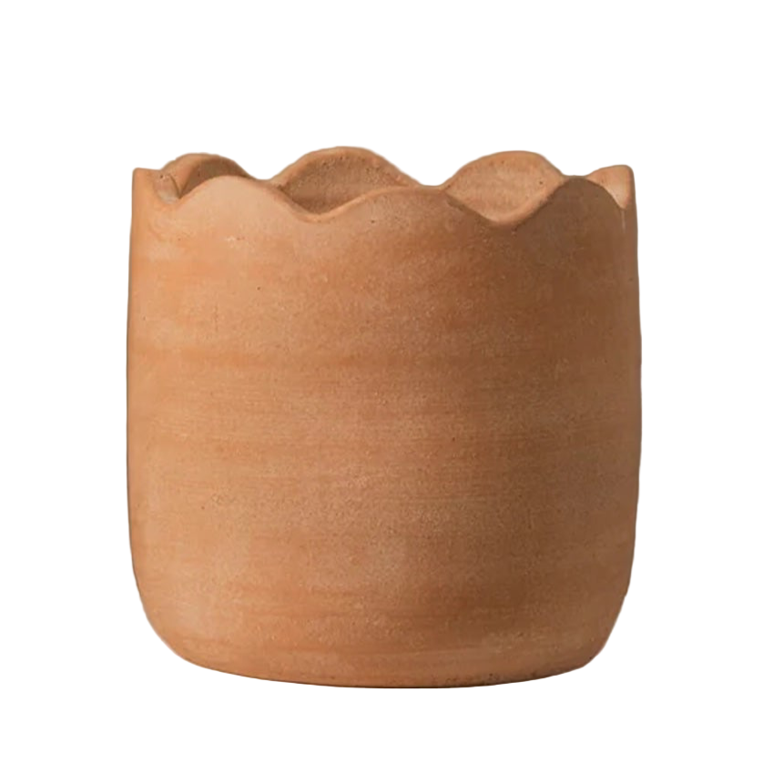 Terracotta pot with a scalloped edge on a white background