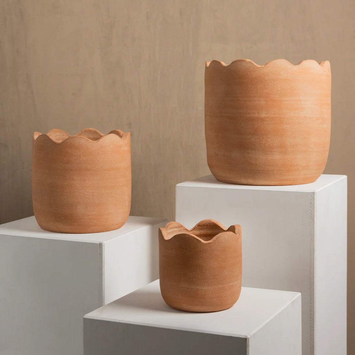Wavy Planter - Medium - Sumiye Co