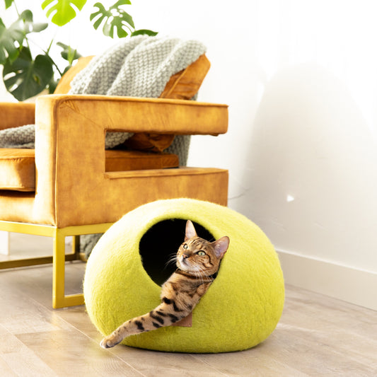 Premium Felted Wool Cat Cave Bed - Citrus Green