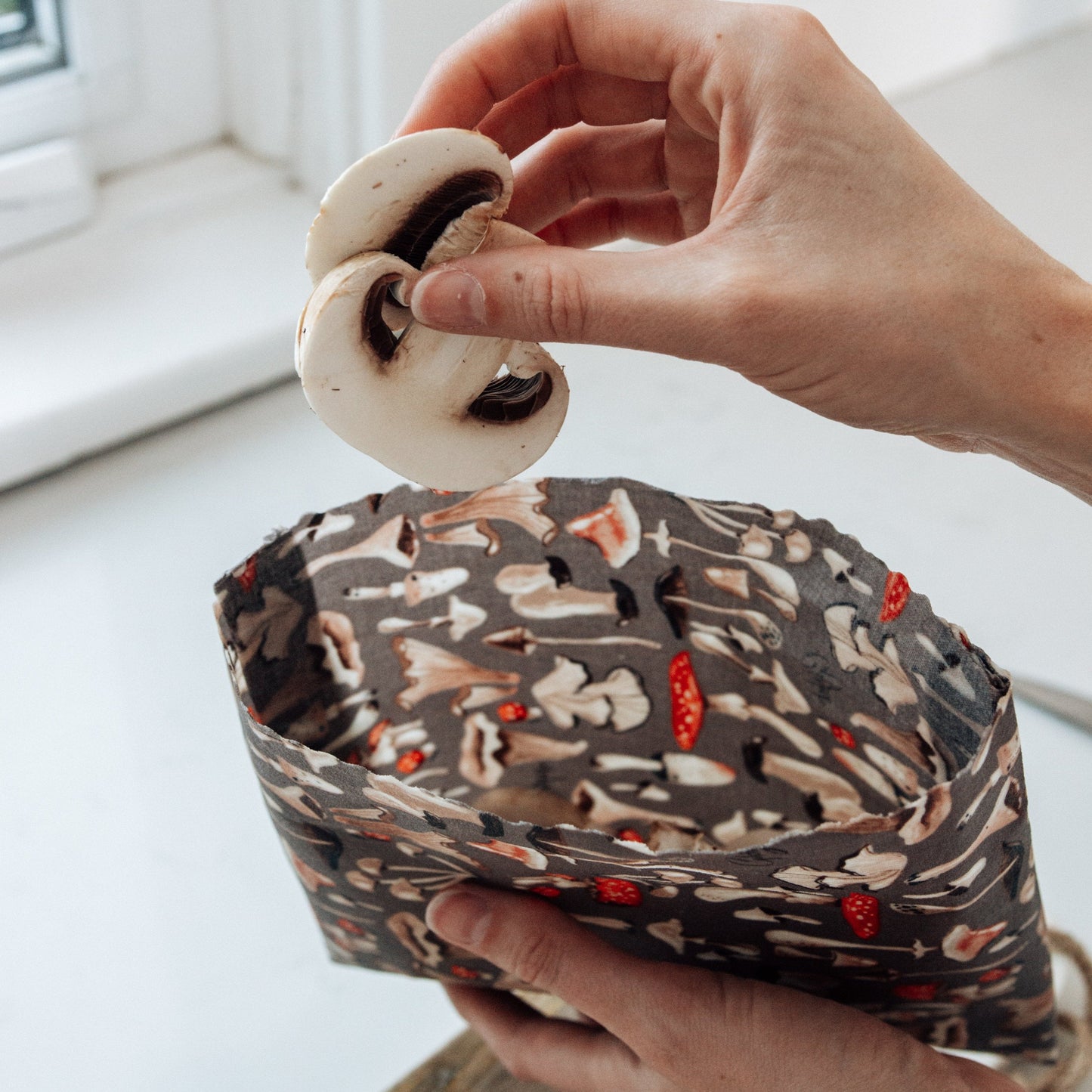 Mushroom Pair: Set of 3 Beeswax Wraps + Dishcloth