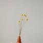 Venus Flower Vase 3 - Granadillo Wood | Colombia